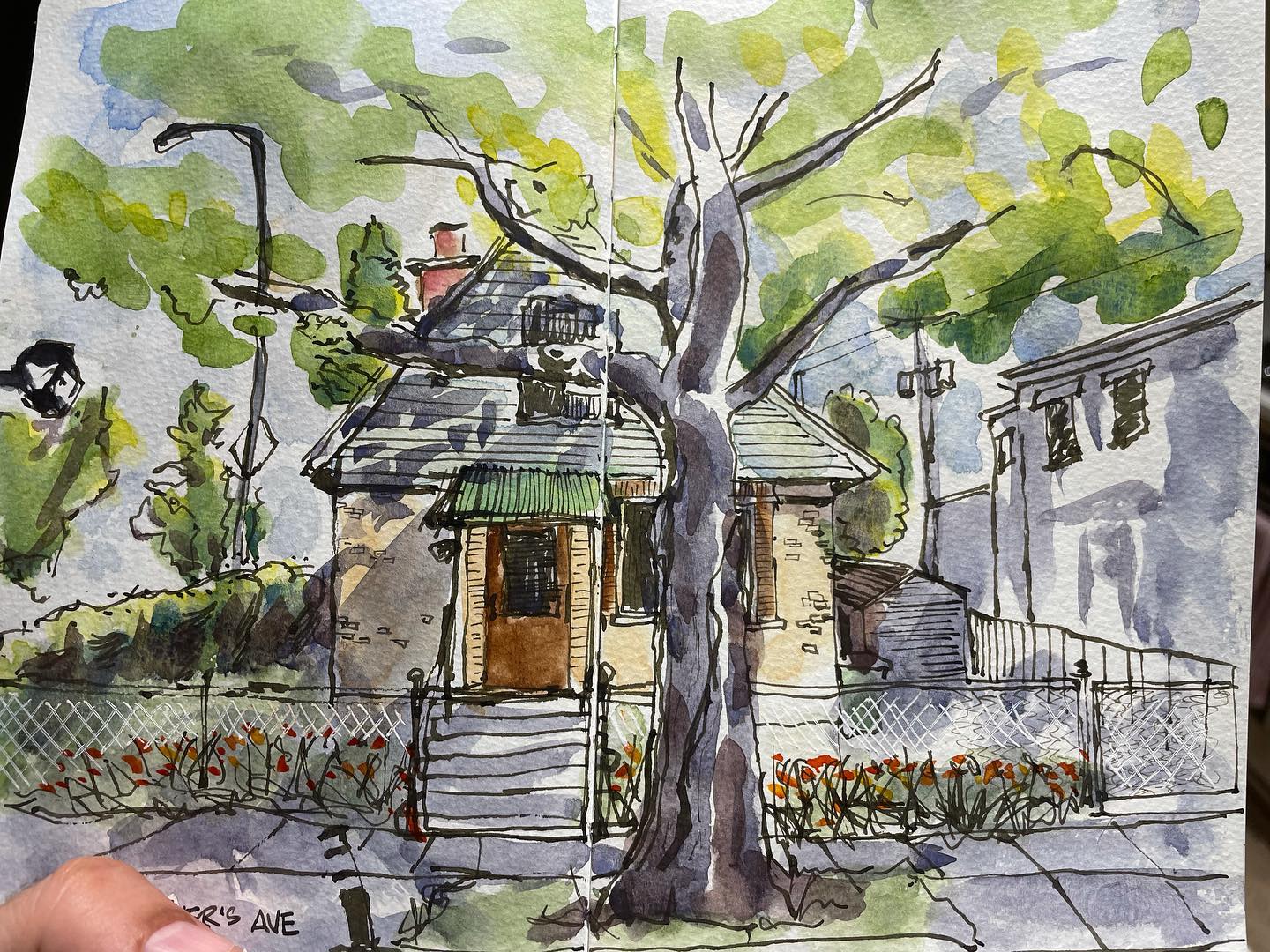 Parc Extension Where I Grew Up