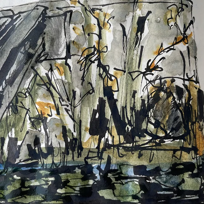 Deer Lake Quiet Stream